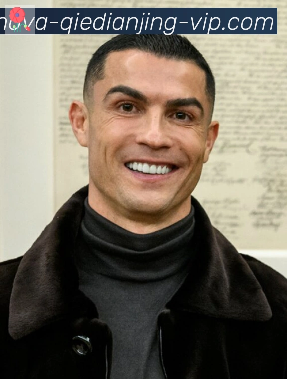维尼修斯